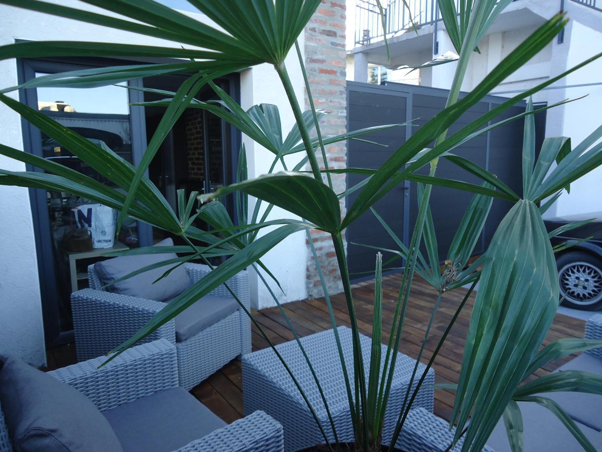 Les Spas De La Chartreuse Tarbes Phòng bức ảnh